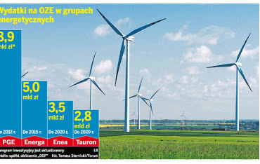 Liderzy produkcji zielonej energii w Polsce
